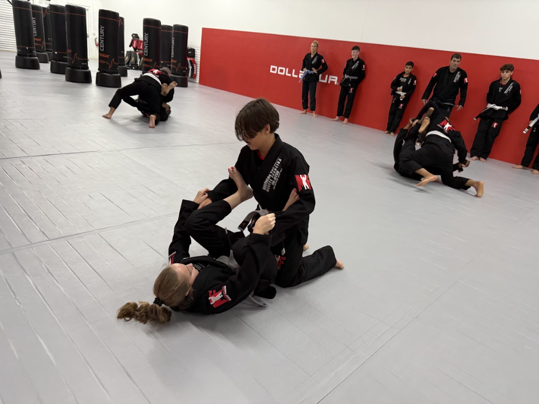 Other martial arts provide fighting style and kicking techniques.
