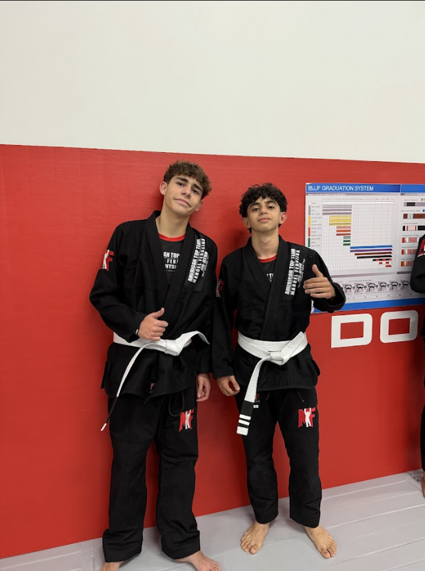 Martial art, enhancing situational awareness and mental fortitude.